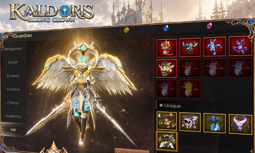 code-kaldoris-rising-crown-3